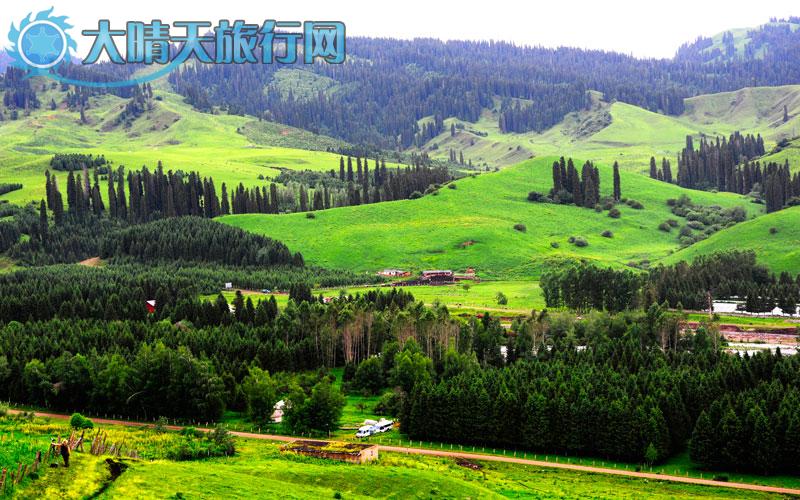 大晴天旅行网|新疆旅游|深度游自由行|伊犁一恰西草原