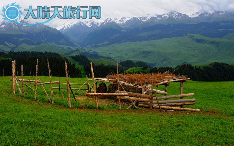 大晴天旅行网|新疆旅游|深度游自由行|伊犁一恰西草原