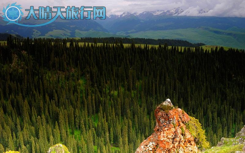 大晴天旅行网|新疆旅游|深度游自由行|伊犁一恰西草原